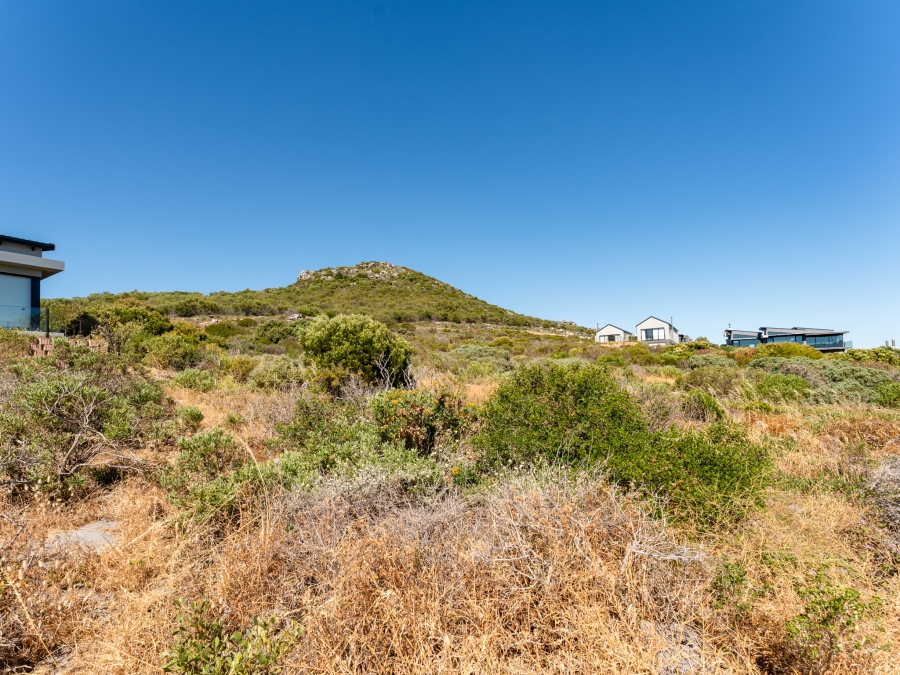 0 Bedroom Property for Sale in Chapman